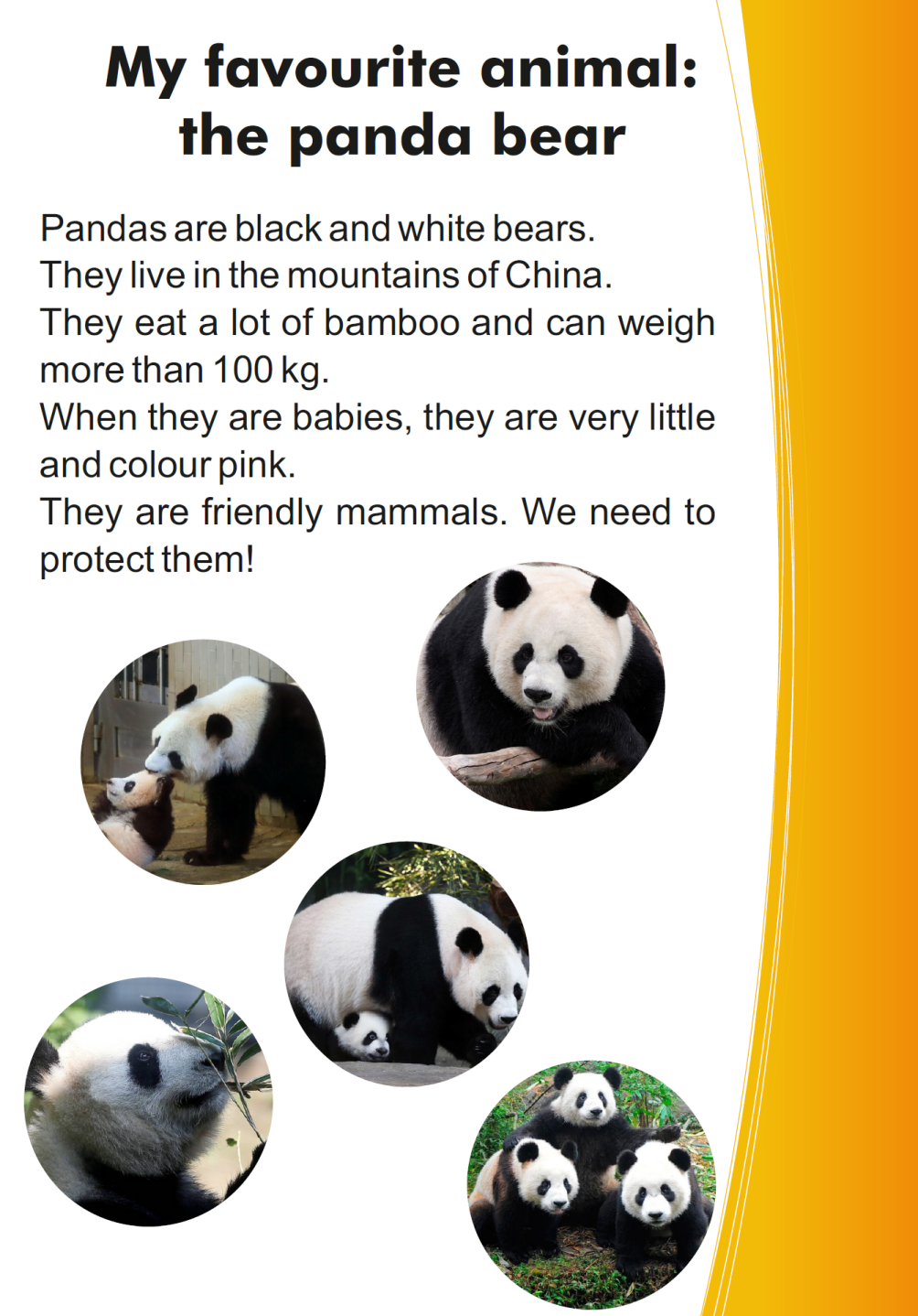 D03 My favourite animal: the panda bear – Proves de comprensió lectora