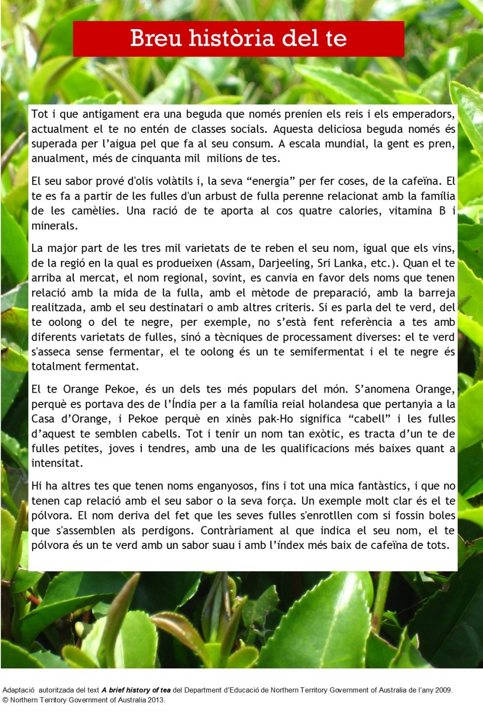 F05 Breu història del te